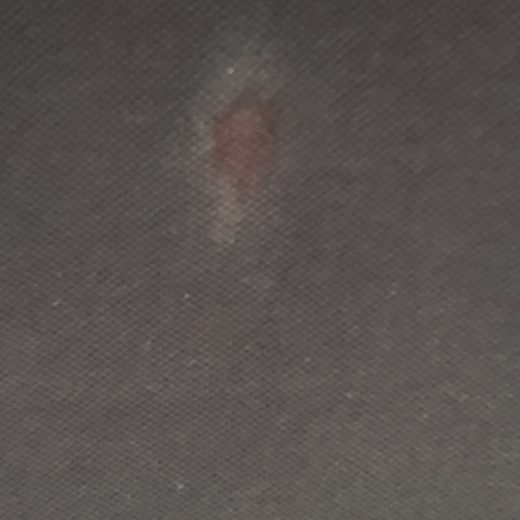 Men's Ralph Lauren Polo Shirt - Picture 2 of 4